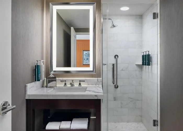 Hotel Hilton Chicago